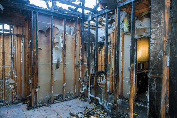 Professional Fire Damage Assessment technician working in Harmans, MD